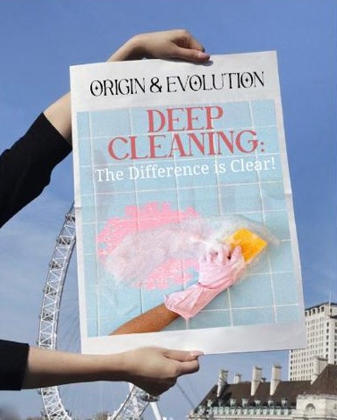 Deep cleaning: the difference is clear